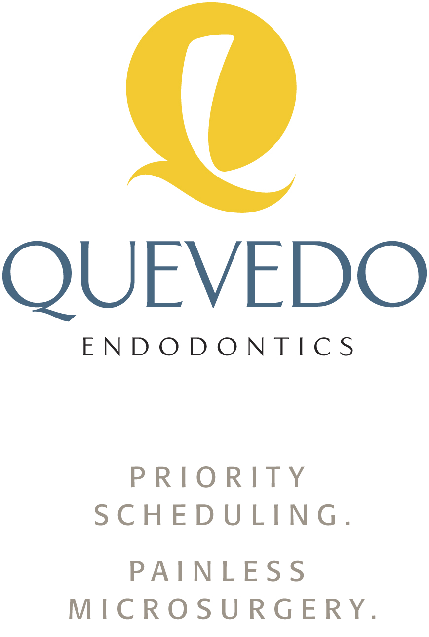 Quevedo Endodontics Name, Logo and Taglines