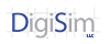 DigiSim LLC