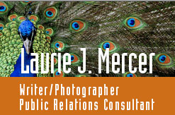 Laurie Mercer Public Relations