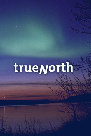 TrueNorth, Inc. Featured Graphic