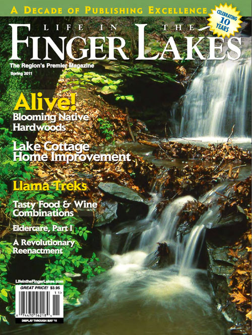 Eldercare articles for Life in the Finger Lakes Magazine
